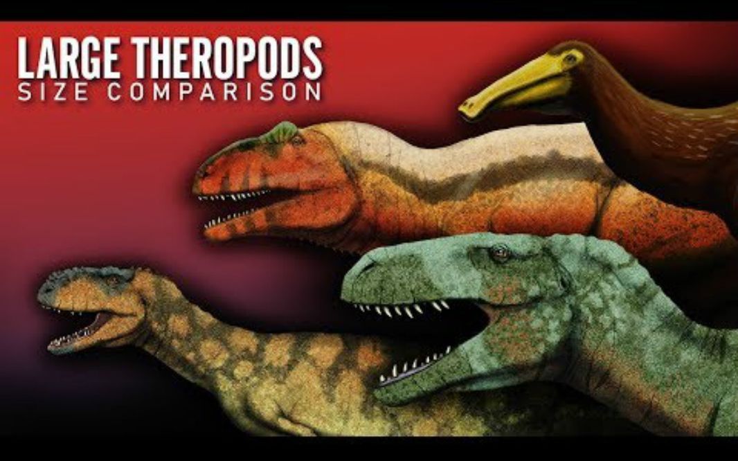 兽脚类肉食恐龙体型对比,和人体尺寸比较