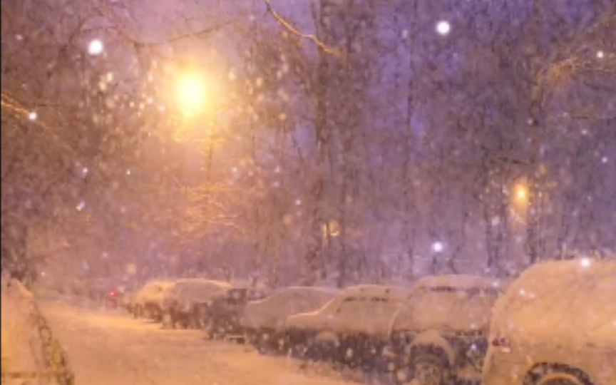 [图]他朝若是同淋雪，也算此生共白头！