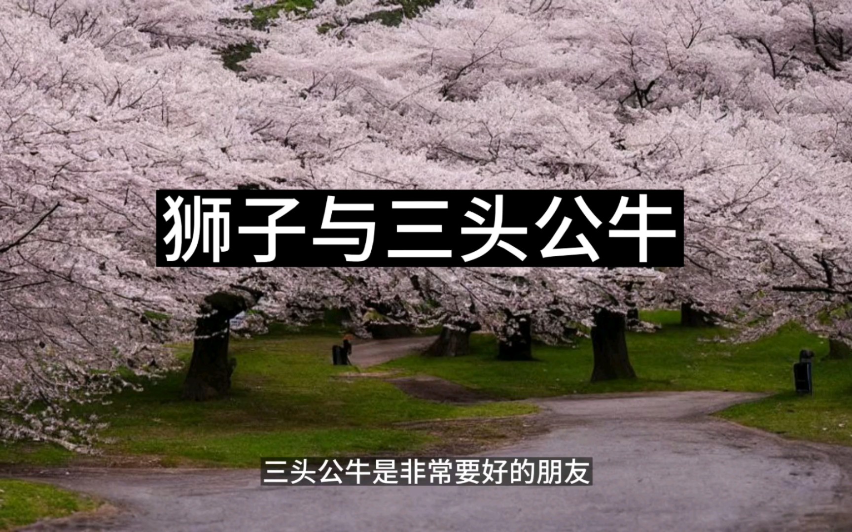 狮子与三头公牛