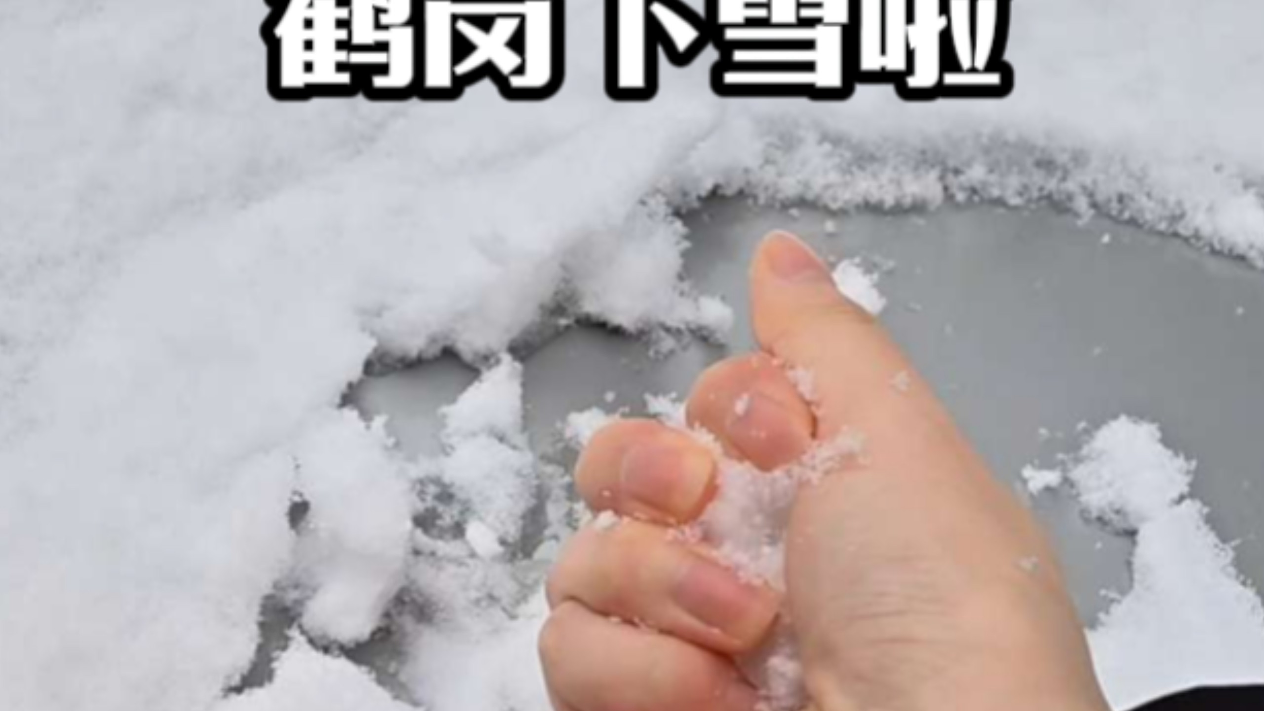 鹤岗今天下雪啦