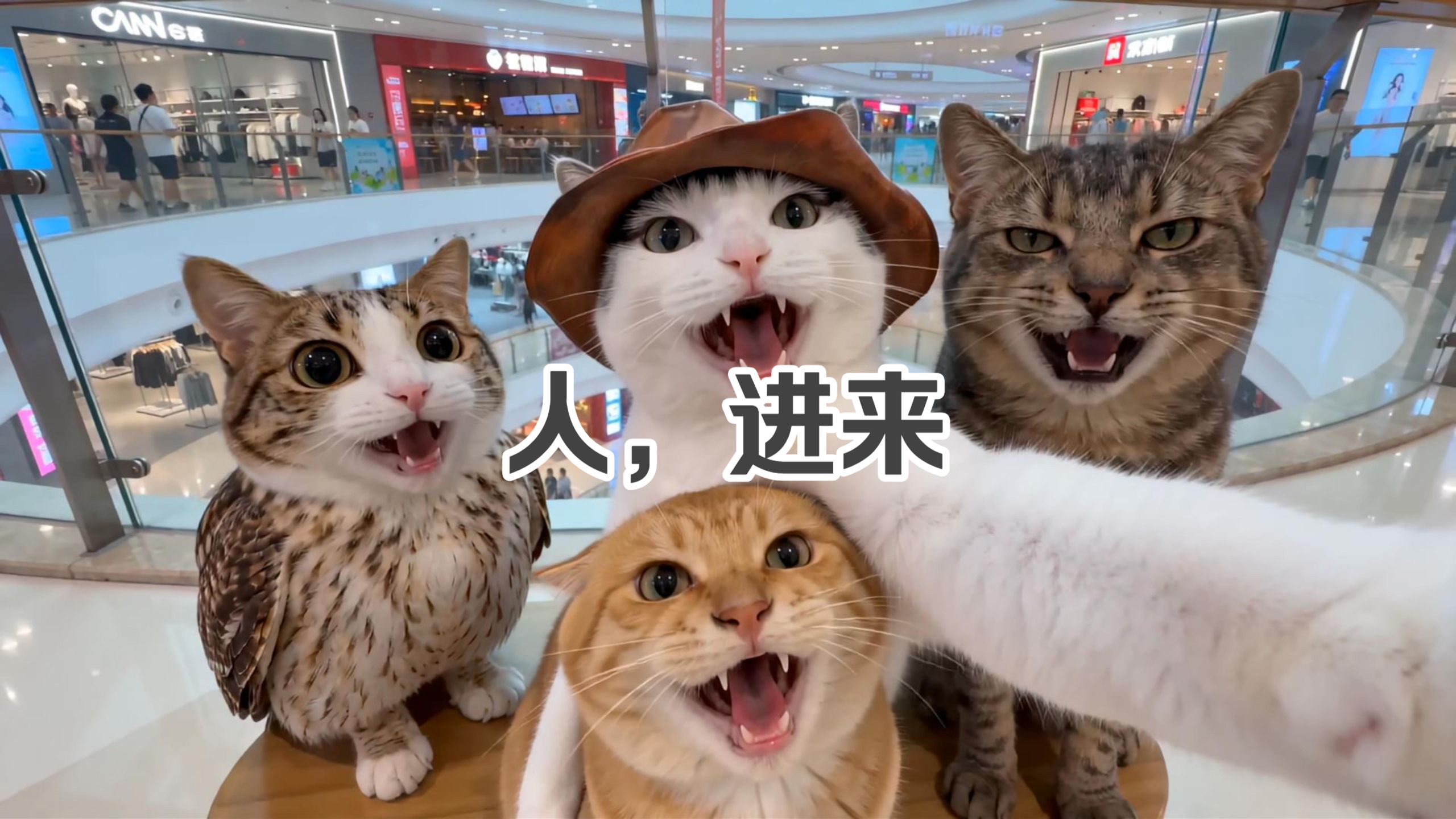干嘛猫在家打扫卫生和小伙伴一起去玩vlog~（咪好久不见人了，咪想人了）