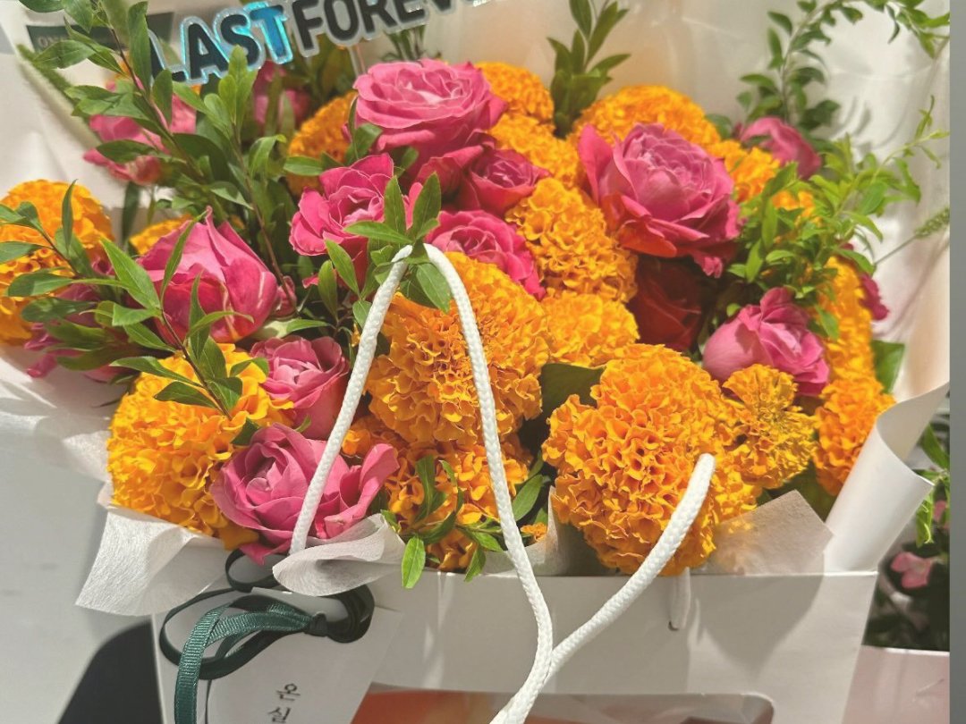 【宋雨琦】240803演唱会首尔场 晨哥和品牌们送来的花篮应援!