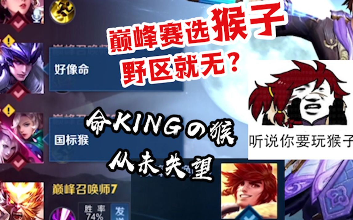 命king老虎打猴子,我的猴子不会让你们失望_哔哩哔哩_bilibili