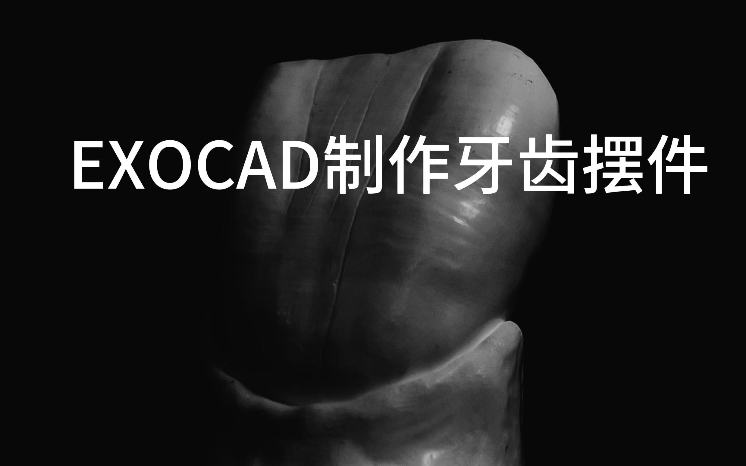 EXOCAD制作牙齿摆件哔哩哔哩bilibili