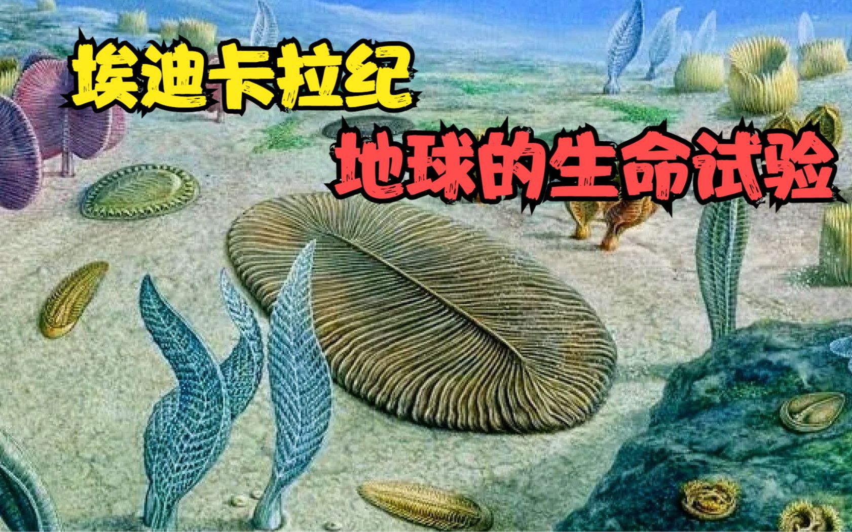 埃迪卡拉纪,地球的一场生命试验,这时期的生物长得太奇葩哔哩哔哩bilibili