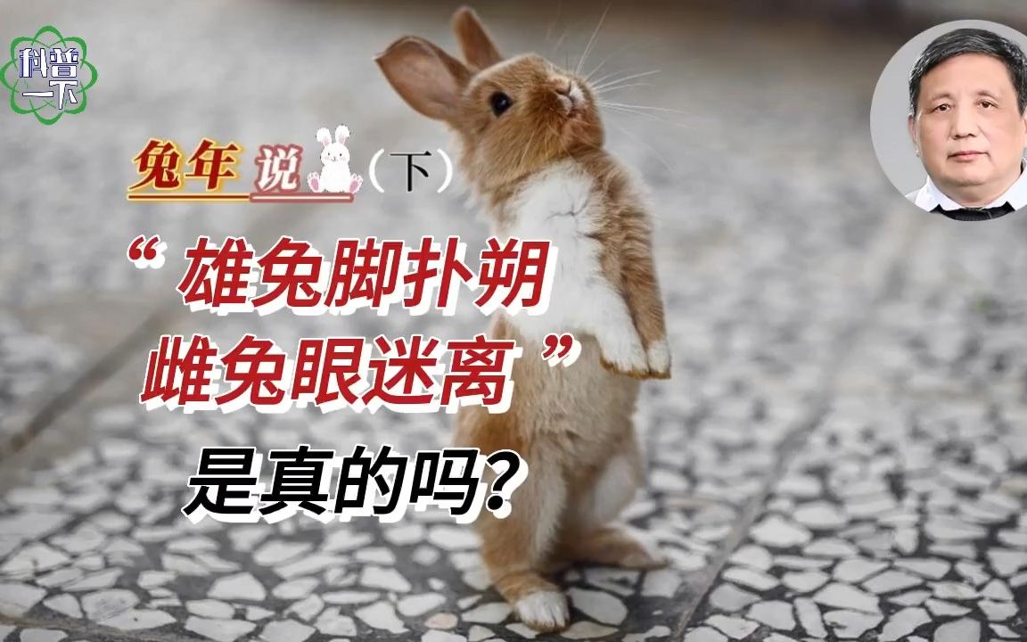 "雄兔脚扑朔,雌兔眼迷离"是真的吗?