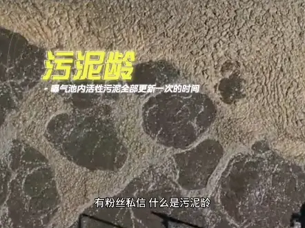什么是污泥龄？#活性污泥 #污水处理#厌氧池#厌氧菌#好氧菌