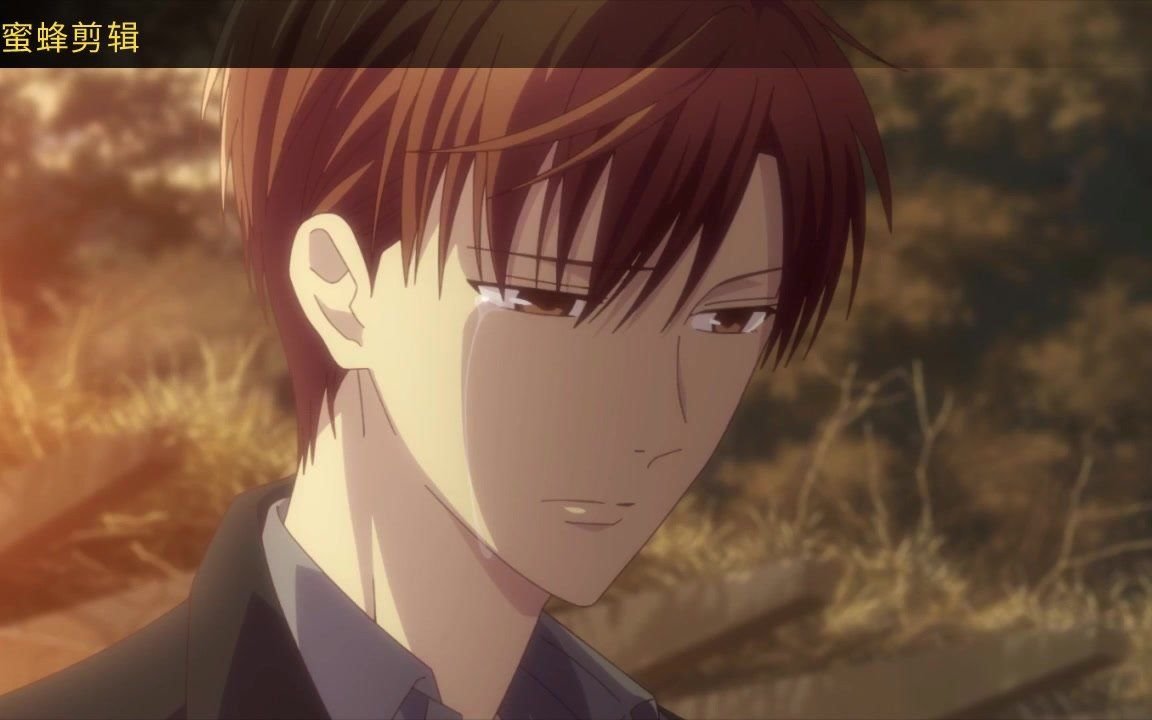 活动作品水果篮子温柔的红野