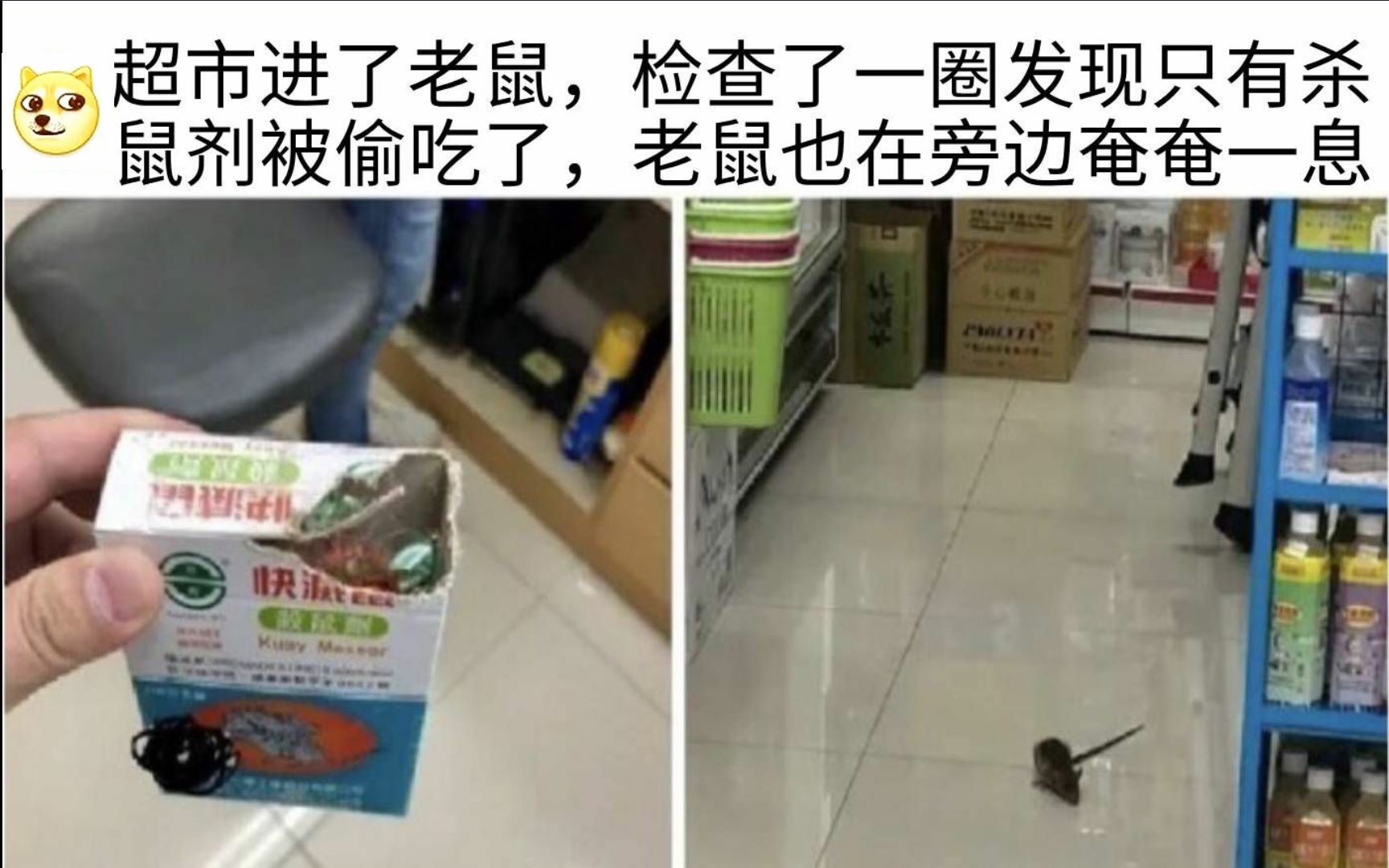 【前方高能】网络上那些笑死人的沙雕图(2962 53 6229)第12