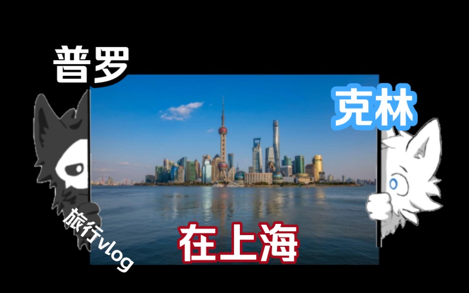 普 罗 克 林 在 上 海哔哩哔哩bilibili