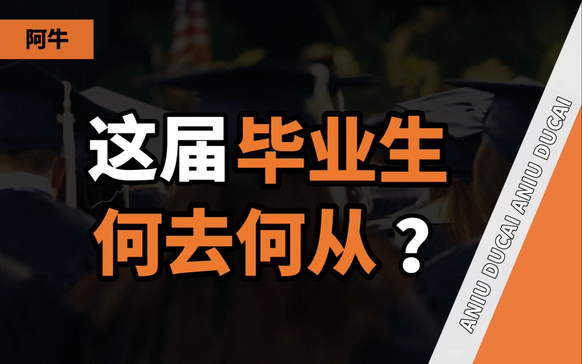 央国企、民企、外企、考研、待业……这届毕业生都去哪儿了?哔哩哔哩bilibili