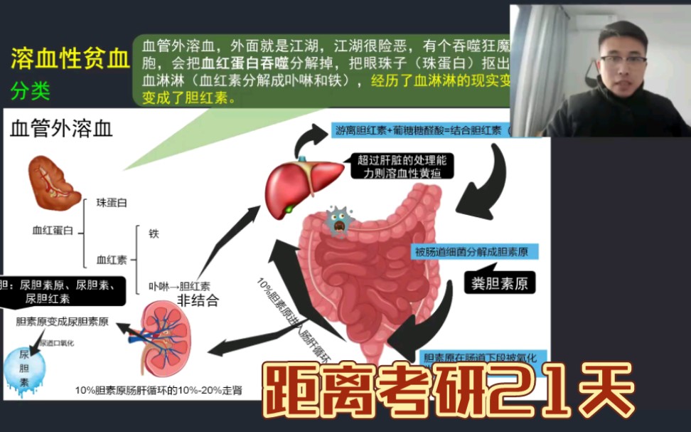 距离考研21天:必备考点 胆红素代谢哔哩哔哩bilibili