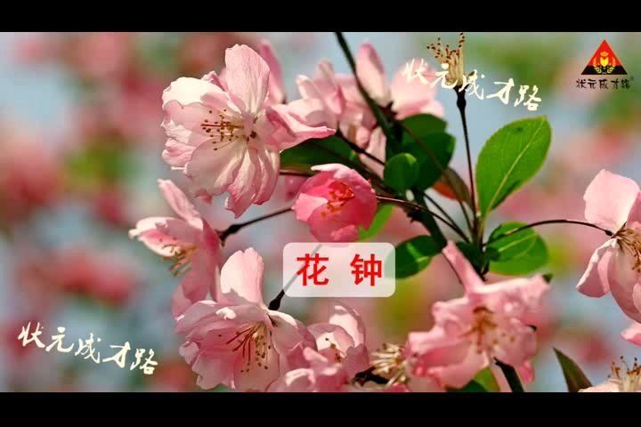 [图]13 花钟（朗读）