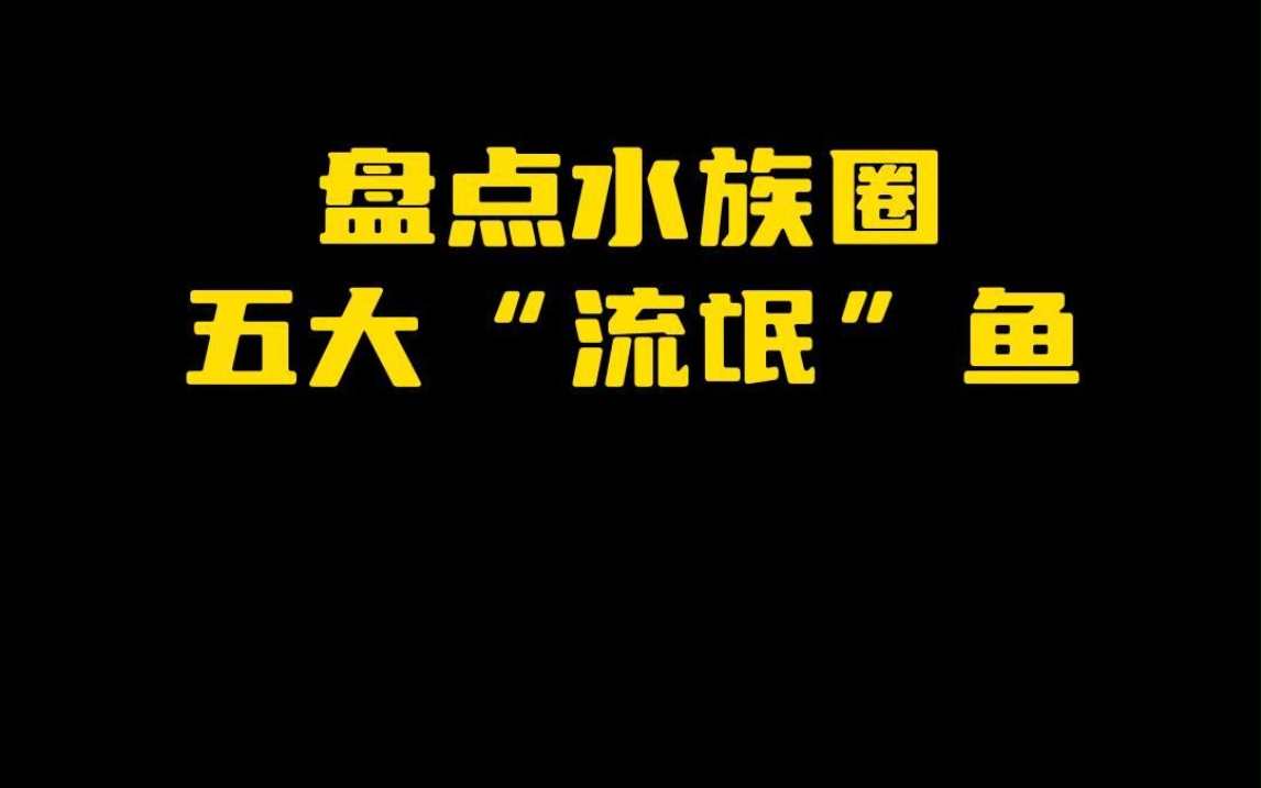 盘点水族五大流氓鱼,看下你养过几种?哔哩哔哩bilibili