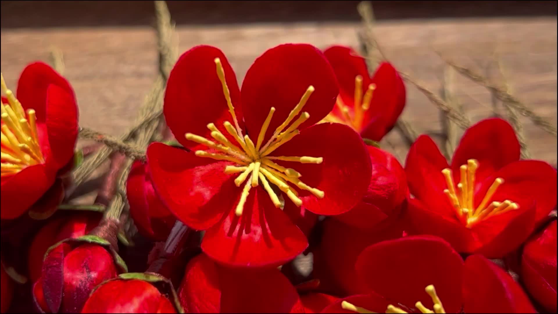 非遗绒花,记录430根绒条能做出什么样的花花