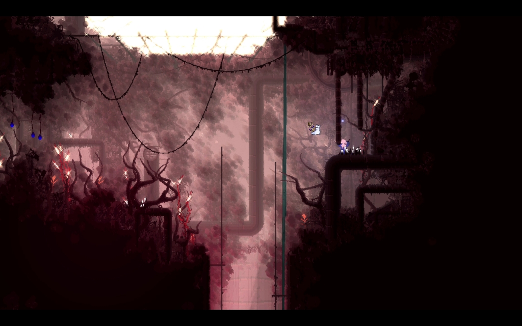 【雨世界/rainworld:downpour】如果用炸貓從這裡跳下去會發生什麼