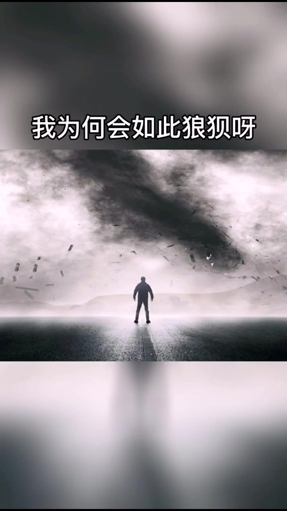 今年的我,真的好狼狈……#情感语录