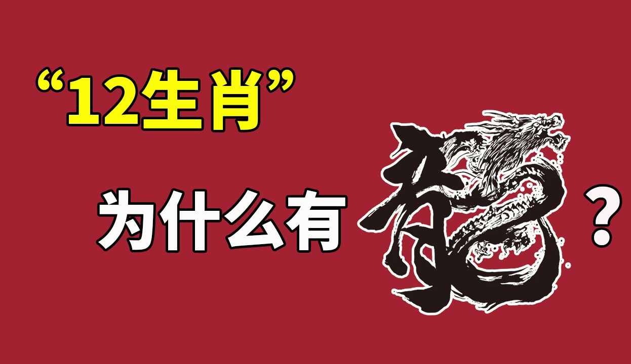 12生肖中为什么有“龙”?“龙”又为什么是中华图腾?哔哩哔哩bilibili