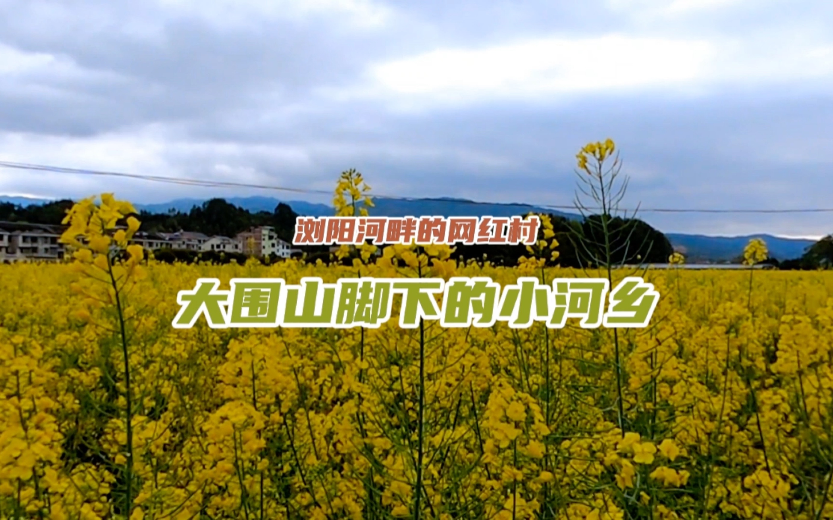 浏阳河畔的网红村,大围山脚下的小河乡,这里是看油菜花的好地方