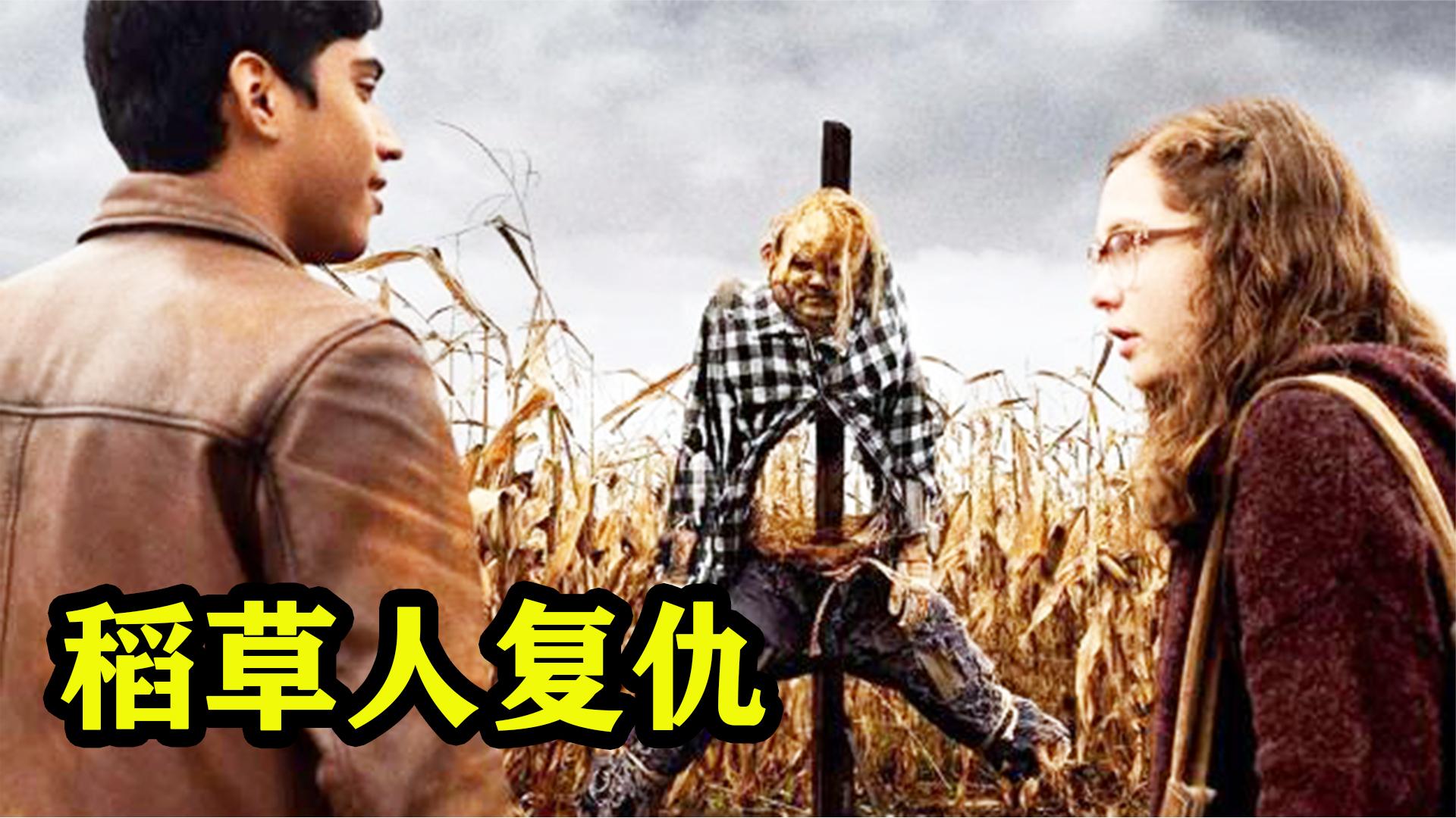 小伙白天揍了稻草人,没想到晚上就被稻草人报仇了.惊悚恐怖电影