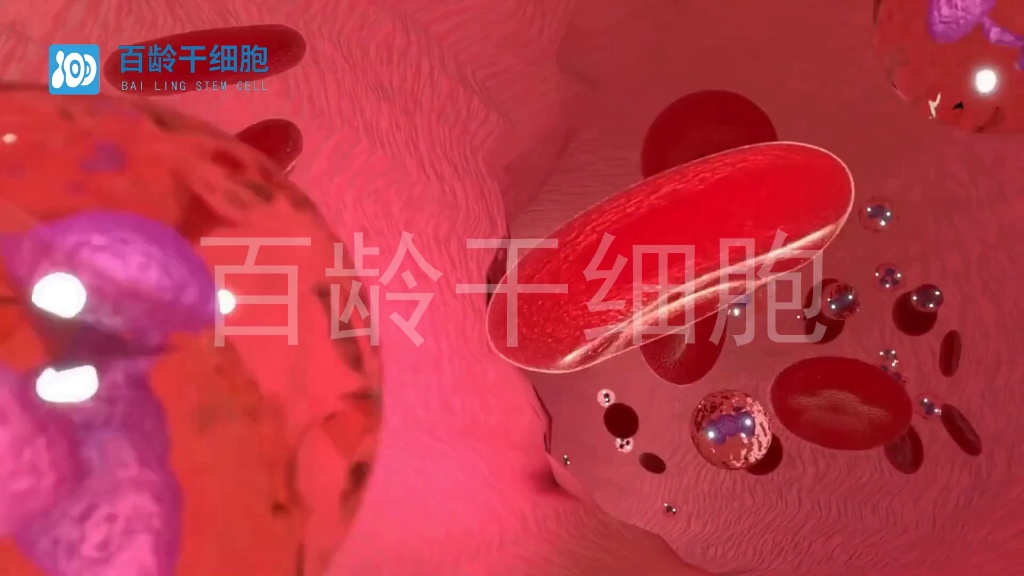 好细胞图片_好细胞能杀死癌细胞吗_干细胞好不好