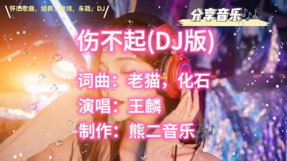 (伤不起DJ版)王麟经典成名歌曲.哔哩哔哩bilibili