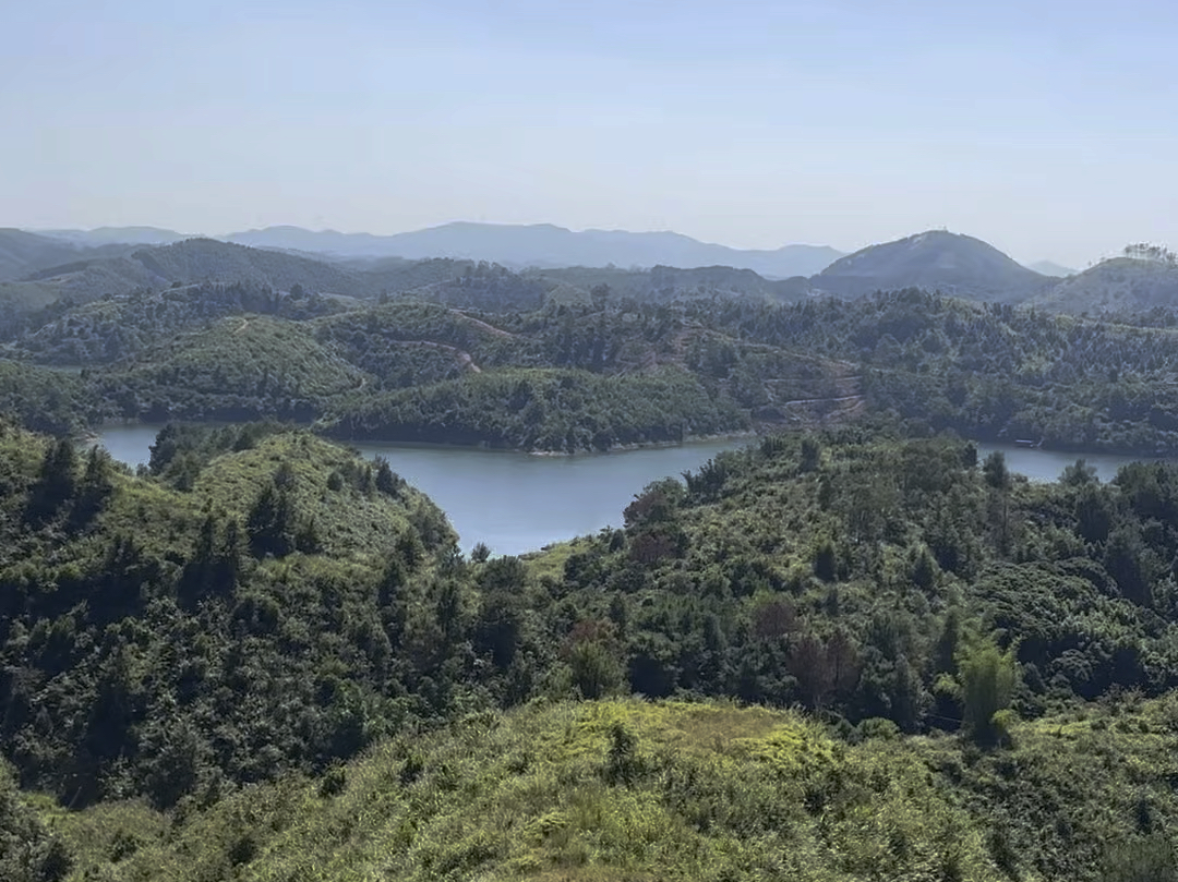 广西的十万大山,今天挑战无人区,看看有没有人一样大的山鼠!哔哩哔哩bilibili