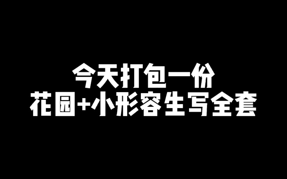 沉浸式打包1.0—花园+小形容生写全套哔哩哔哩bilibili