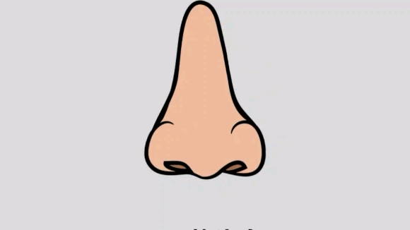 五官精致小技巧