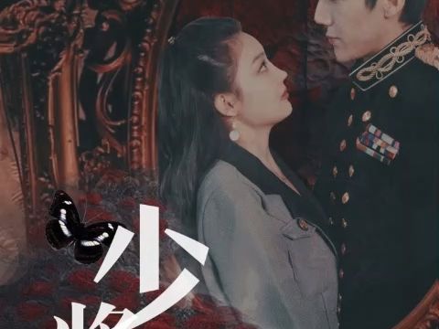 少将大人求放过 全集 完结 大结局 完整版 无删减哔哩哔哩bilibili