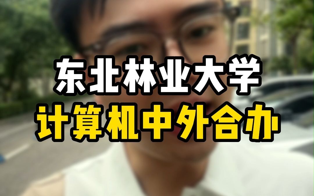 东北林业大学计算机中外合办哔哩哔哩bilibili