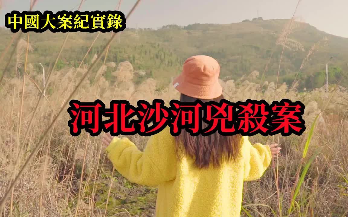 大案纪实录河北沙河凶杀案哔哩哔哩bilibili