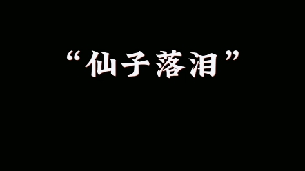 原来眼泪真的可以像断了线的珍珠一样,一颗一颗的落下来.哔哩哔哩bilibili