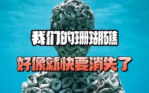 Download Video: 我是珊瑚礁，我好像就快要消失了