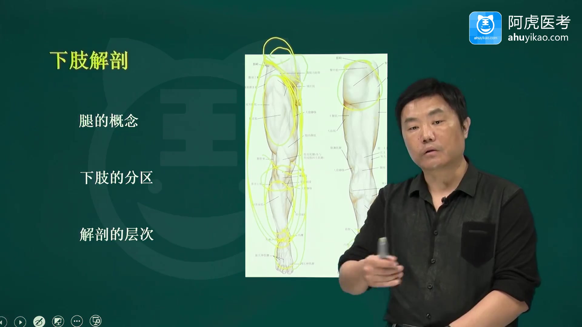 2023疼痛学主治专业知识与专业实践能力考试视频课程培训课件讲解哔哩哔哩bilibili