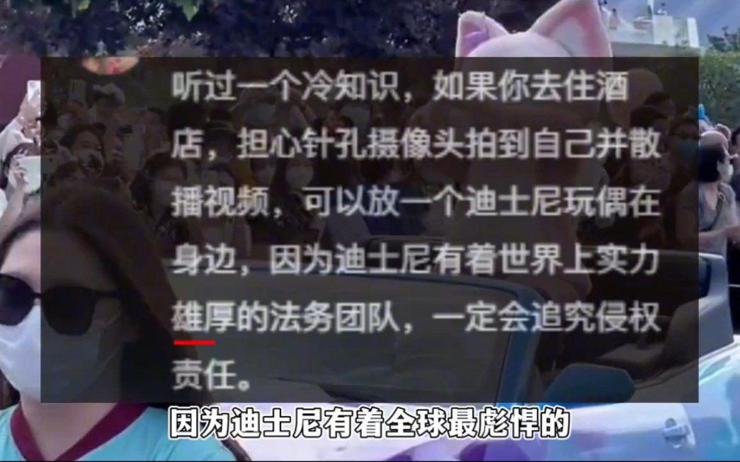 一己之力告倒迪士尼法务,修改霸王条款,当庭索赔50元大快人心!哔哩哔哩bilibili