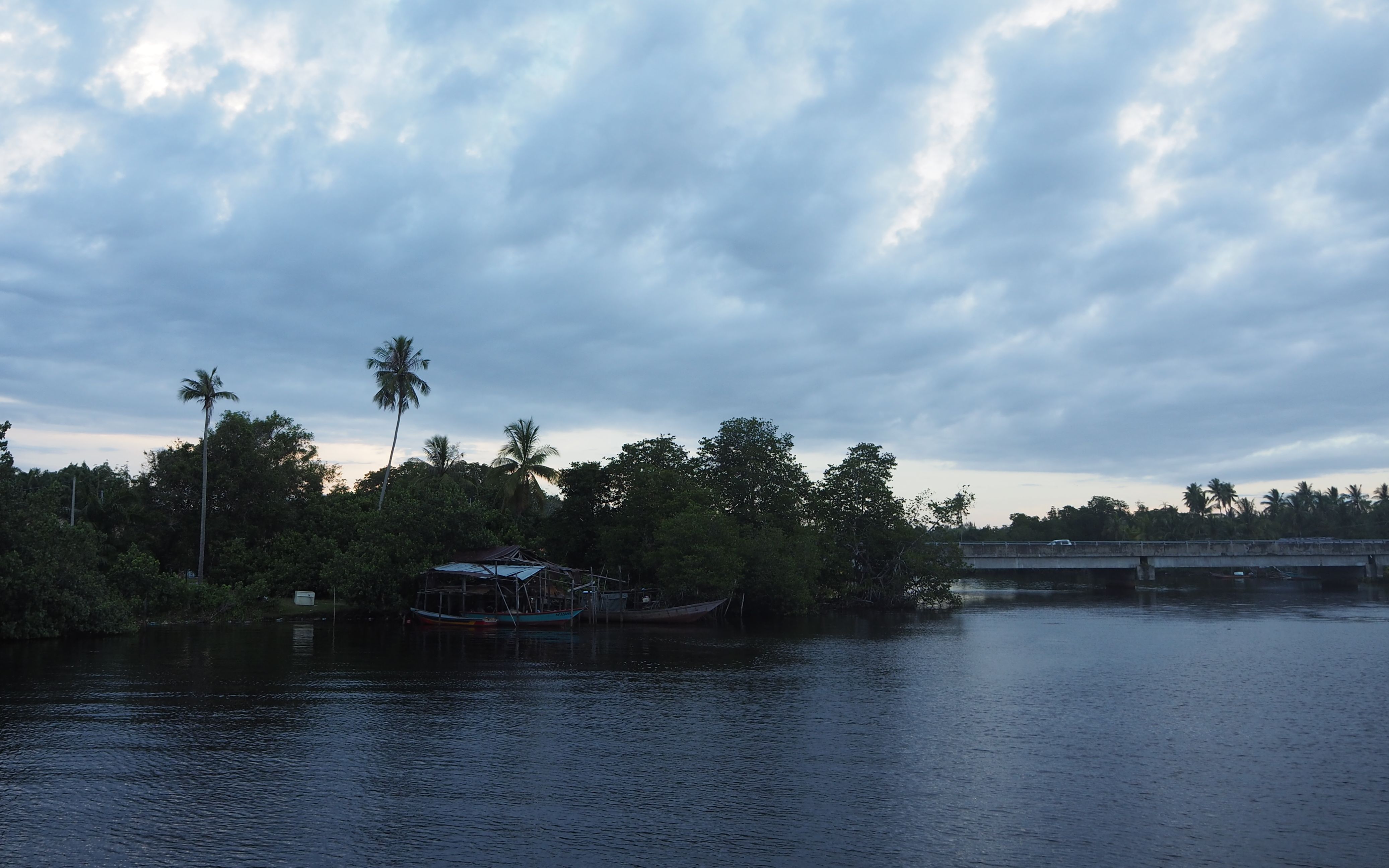 马来西亚沙巴红树林游玩_哔哩哔哩 (゜-゜)つロ 干杯~-bilibili