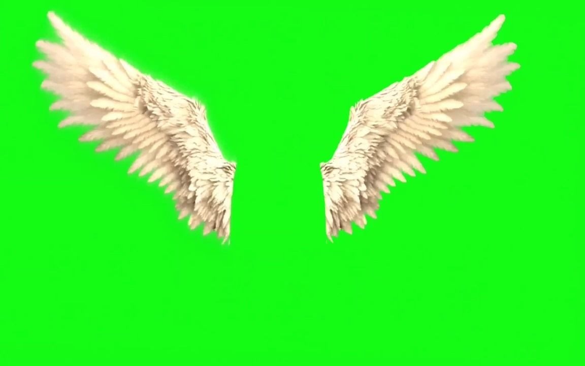 创意几组天使的翅膀动画绿屏抠像视频后期合成动态视频素材 ae素材 pr