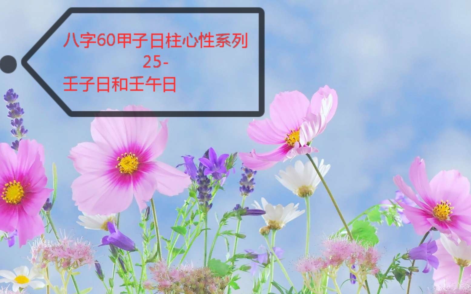 八字60甲子日柱心性系列25壬子日和壬午日哔哩哔哩bilibili