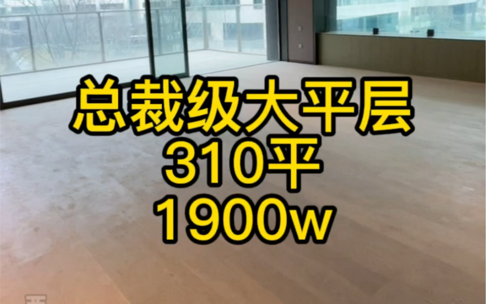 [图]西安总裁级大平层，310平，1900w