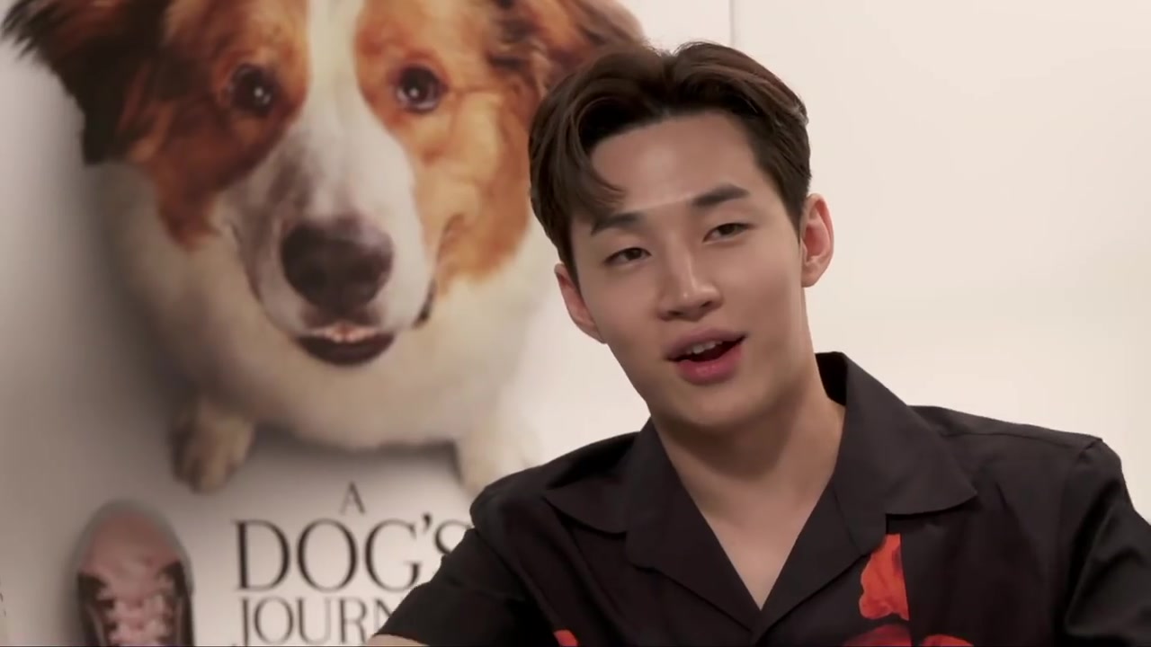 henry刘宪华一条狗的使命2北美采访合集interviewofadoysjourney