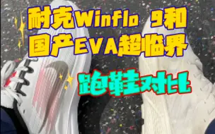 Download Video: 耐克Winflo 9和国产EVA超临界跑鞋R2悠跑对比