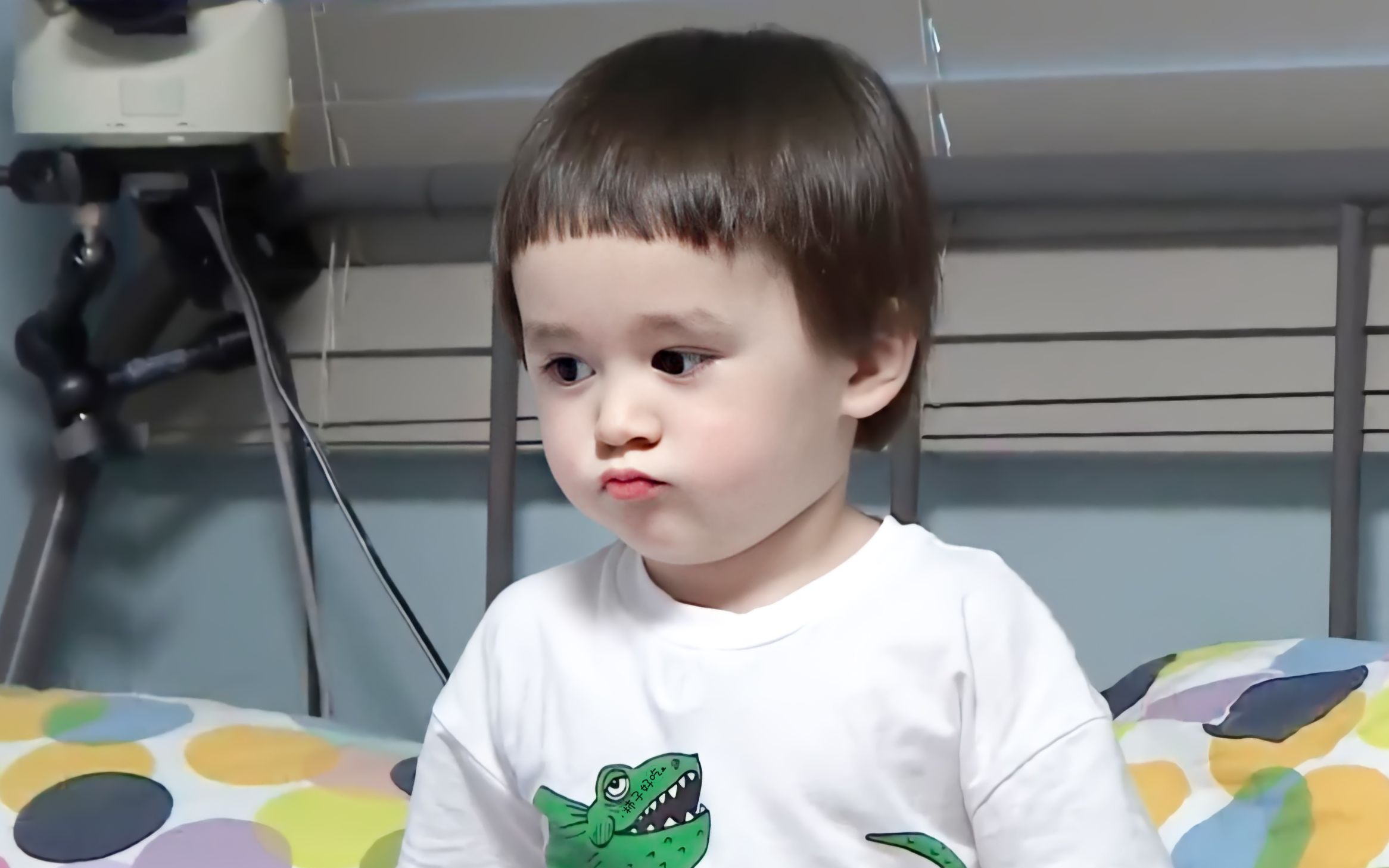 本本小奶音 捧场王威廉