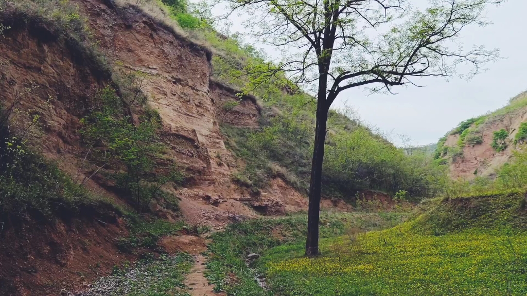 慈善家郭战解拍摄美丽乡村磨沟河南省洛宁县城郊乡