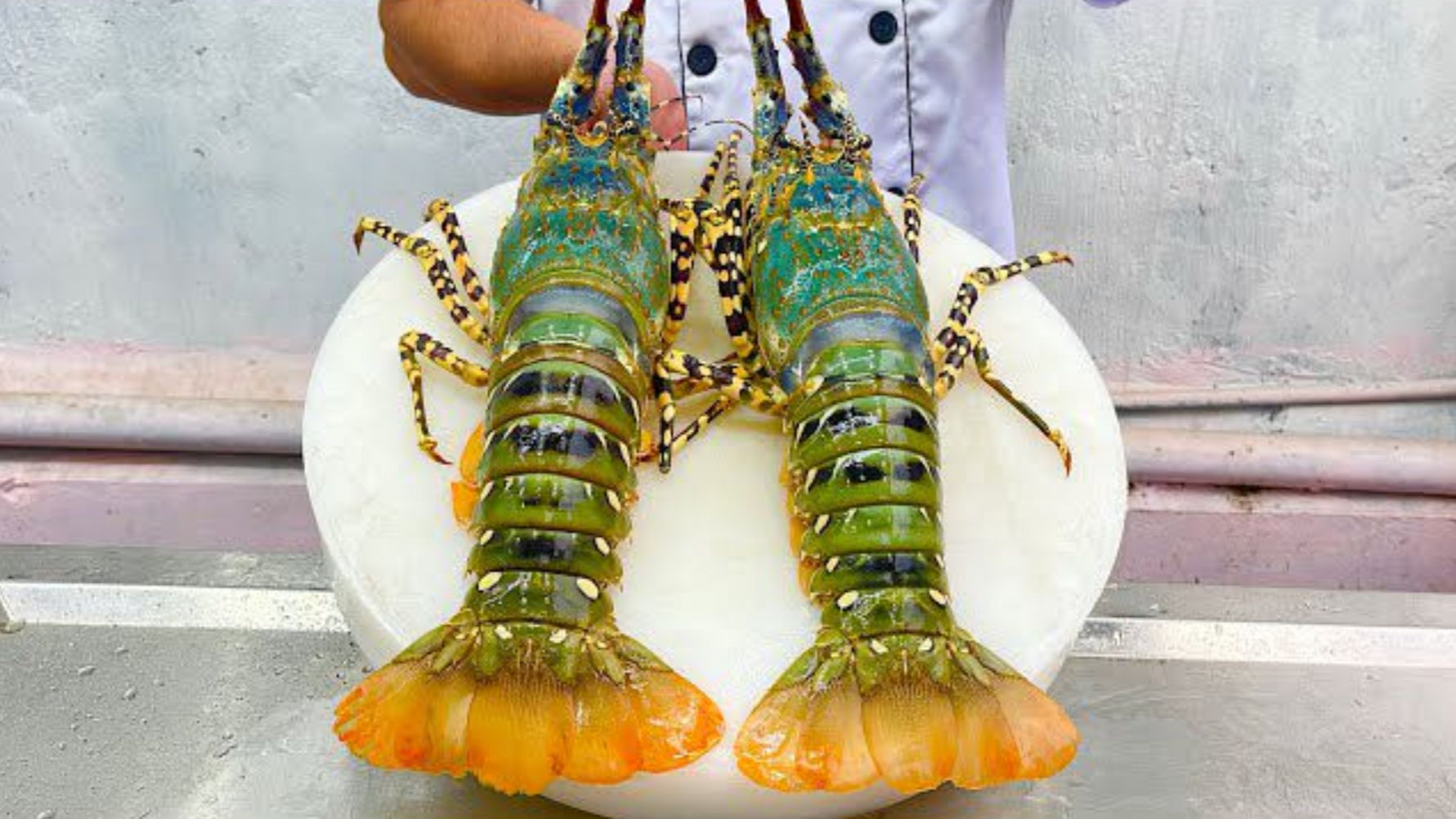 国外大厨宰杀龙虾,用锦绣龙虾冰晕后切成片做刺身,带大家见识下