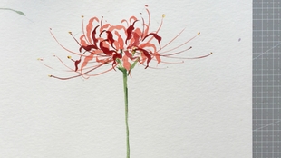 三翅蝶 十年生死两茫茫 水墨画彼岸花手绘 哔哩哔哩 つロ干杯 Bilibili