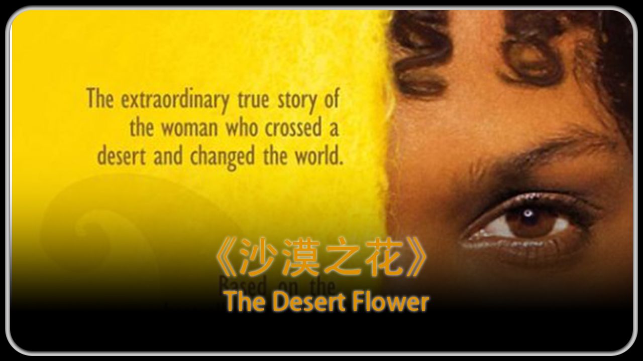 电影《沙漠之花》完整版