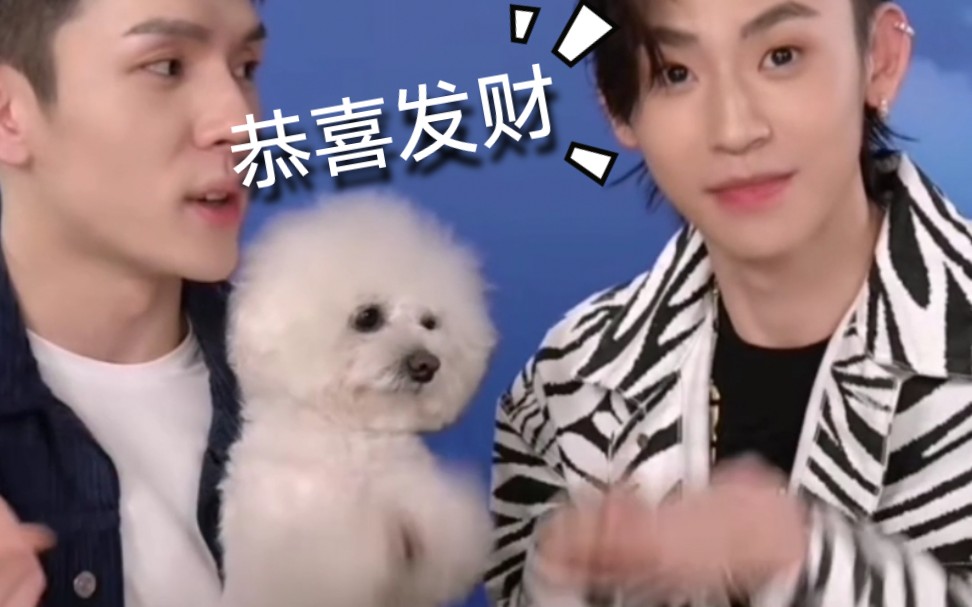 小鬼和never互动啦n姓女明星和小鬼同框全录屏和never一起拜拜李佳琦