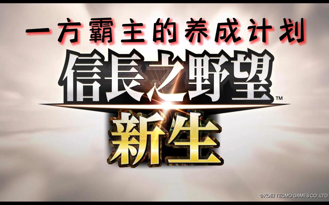 [图]【信长之野望･新生】你们终于懂做游戏了