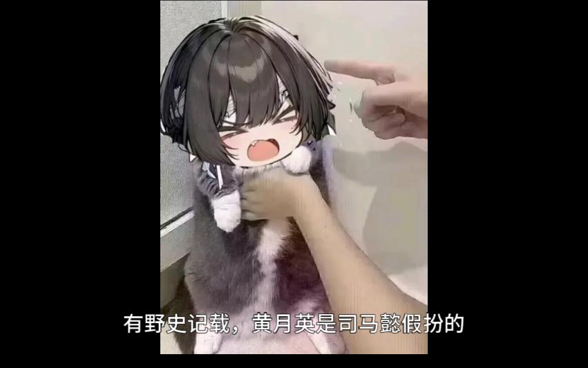 ai满穗:野史大全